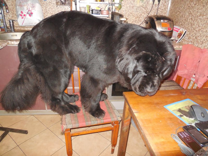 Фотография № 166374