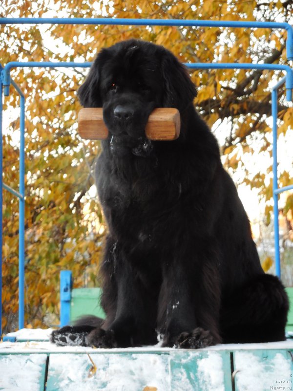 Фотография № 166378