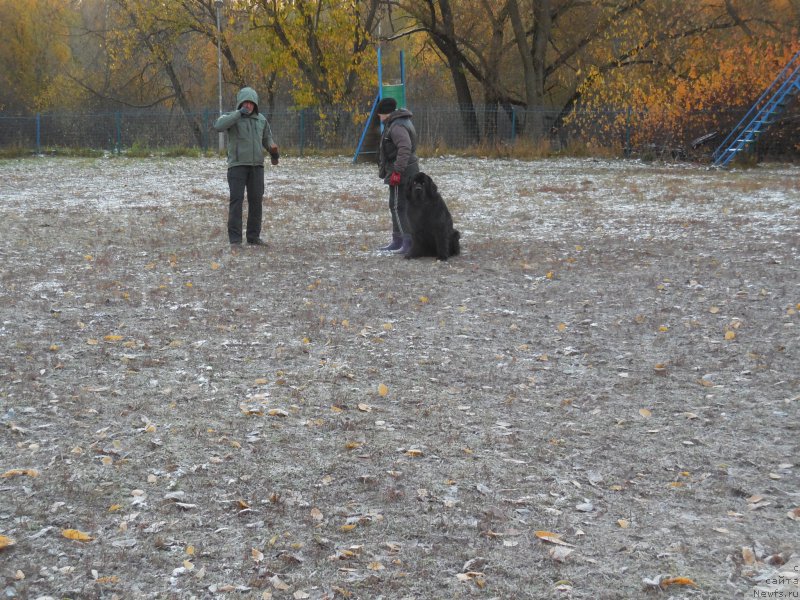 Фотография № 166380