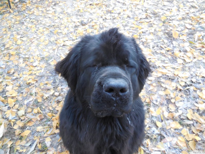 Фотография № 166382