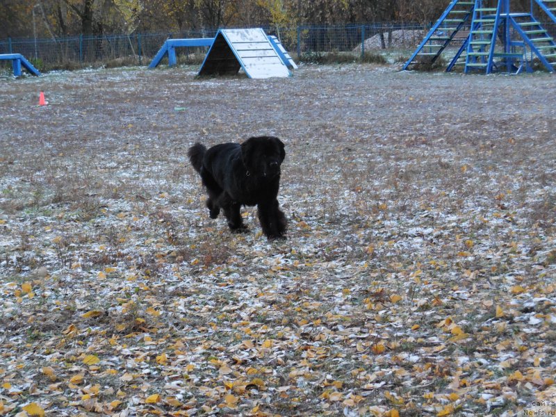 Фотография № 166386