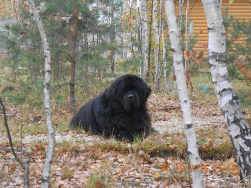 Фотография № 166412