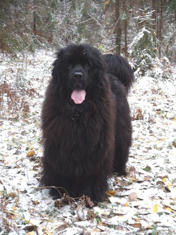 Фотография № 166425