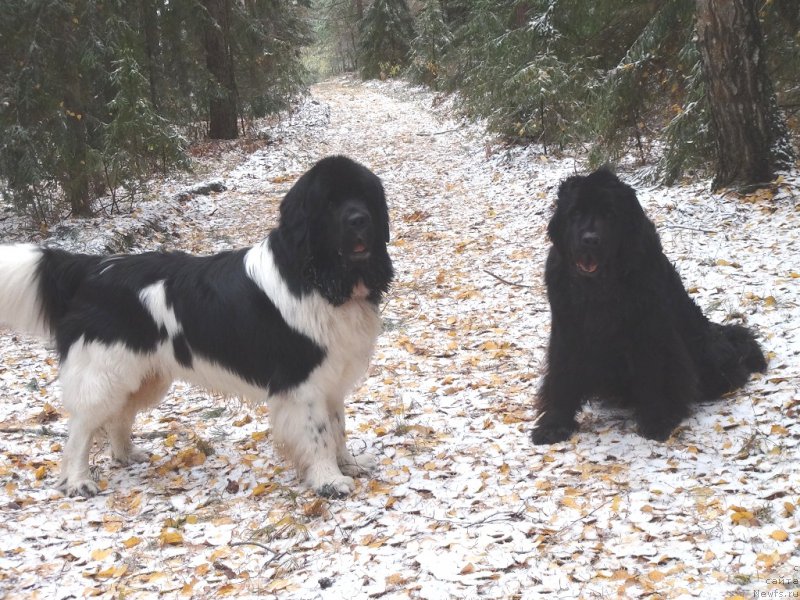 Фотография № 166427