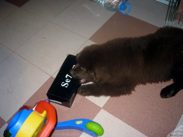 Фотография № 166430