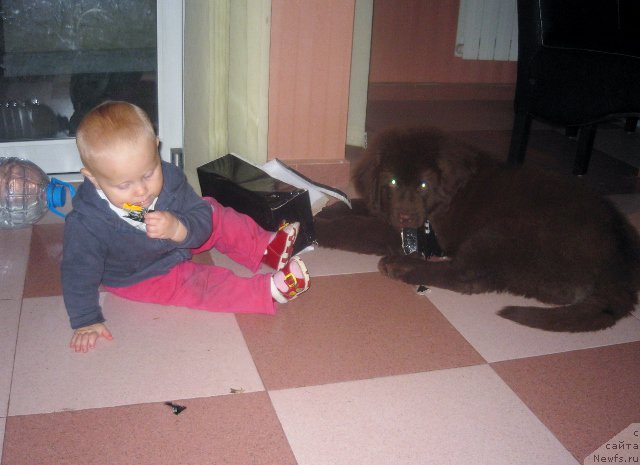 Фотография № 166433