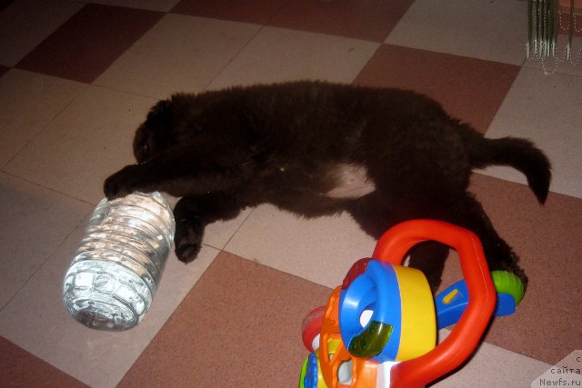 Фотография № 166434