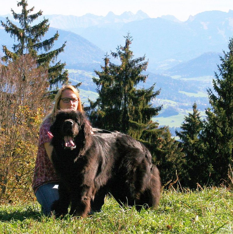 Фотография № 166443