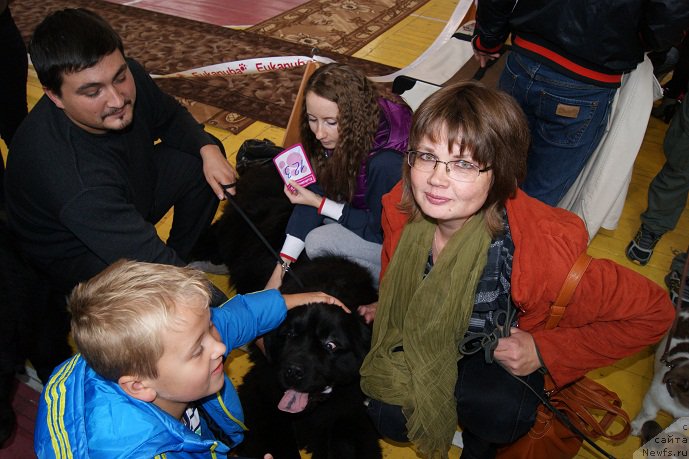 Фото: ньюфаундленд Super Premium Oniks (Супер Премиум Оникс), Svetlana Prihod'ko (Светлана Приходько)