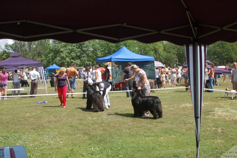 Фото: [d13048] Gloria