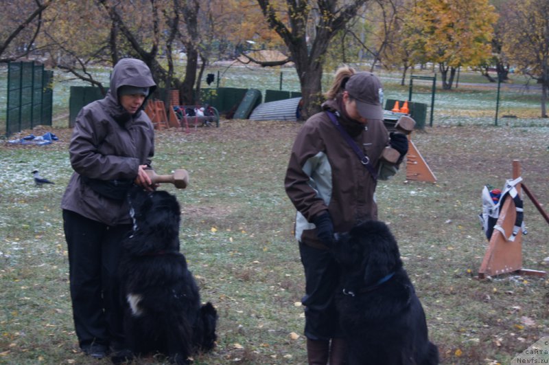 Фотография № 166481