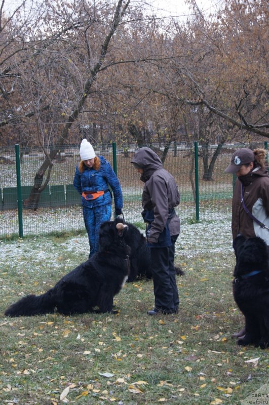 Фотография № 166489