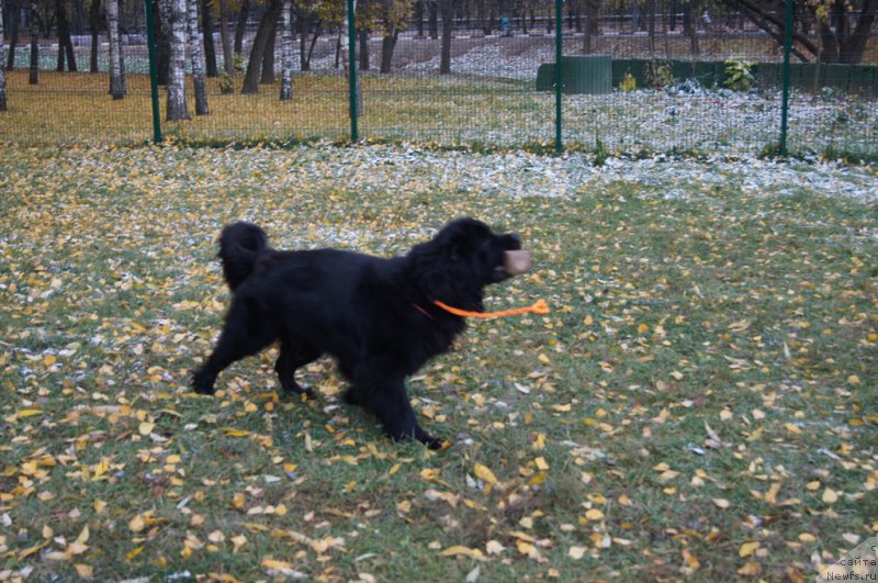 Фотография № 166491