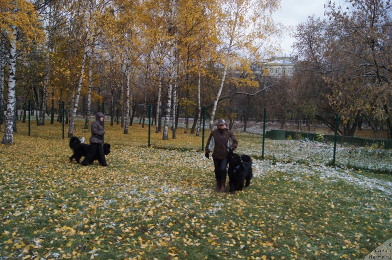 Фотография № 166495