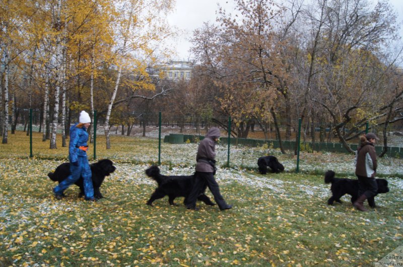 Фотография № 166498