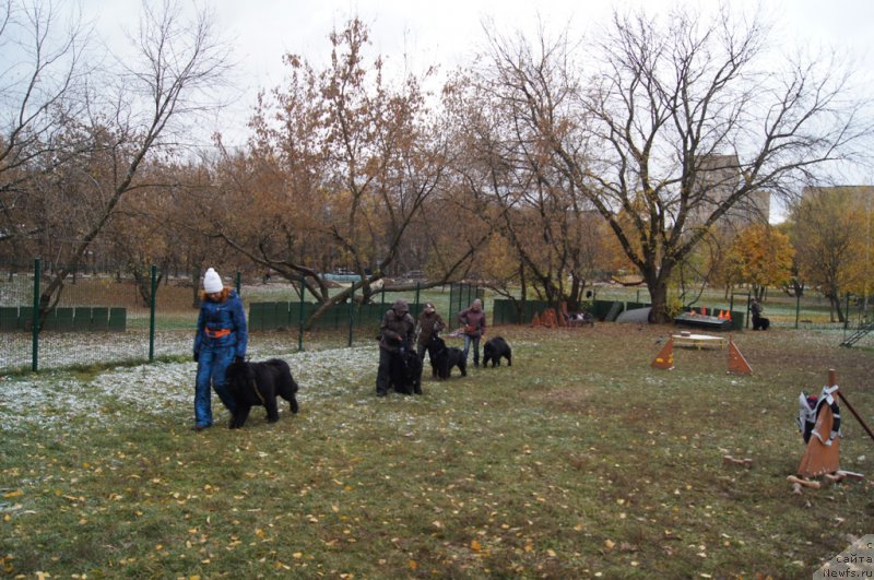 Фотография № 166499