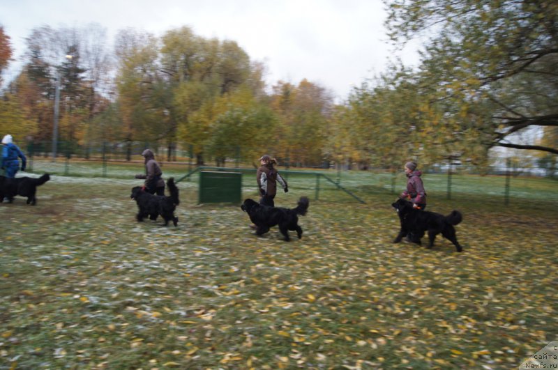 Фотография № 166502