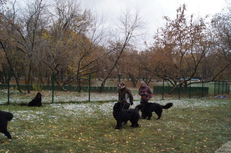 Фотография № 166503