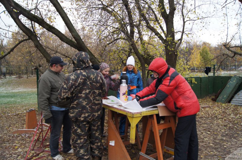 Фотография № 166506