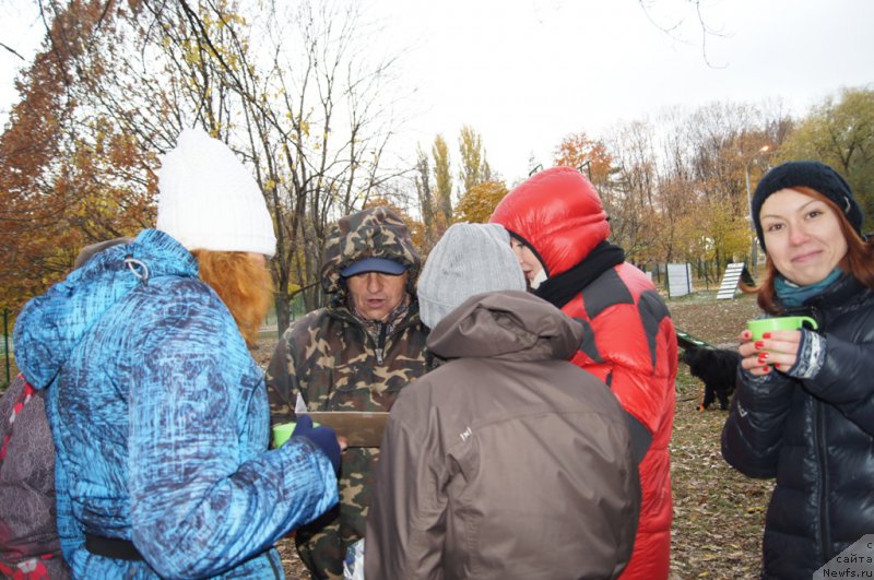 Фотография № 166510