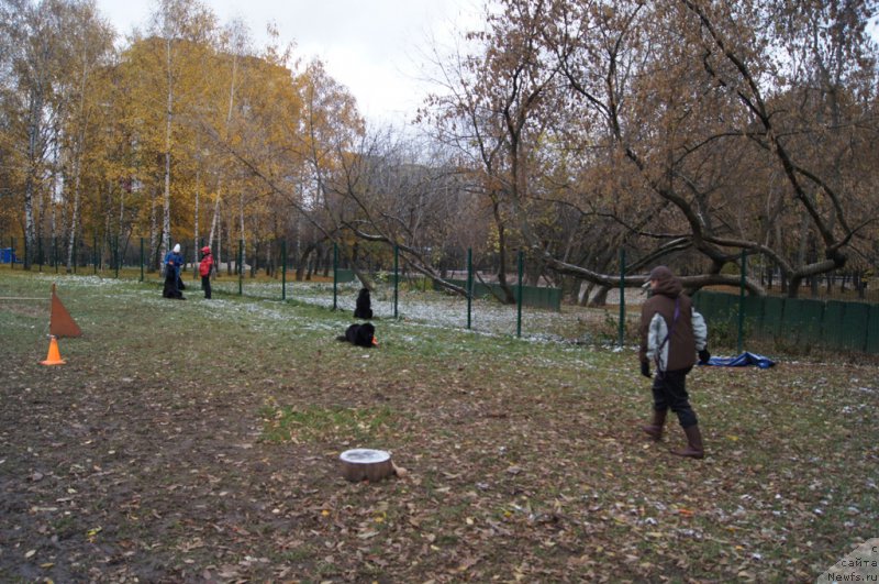 Фотография № 166514