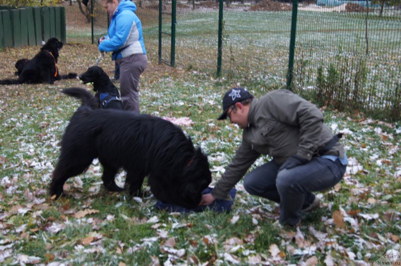 Фотография № 166522