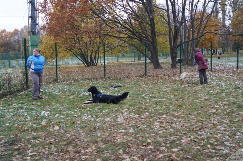 Фотография № 166527