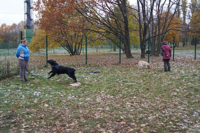 Фотография № 166528