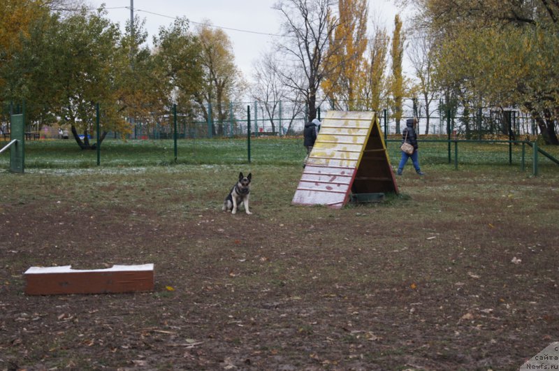 Фотография № 166531