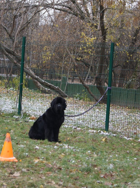 Фотография № 166535