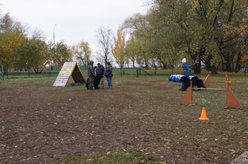 Фотография № 166536