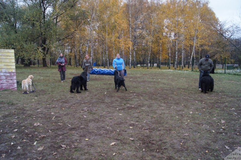 Фотография № 166537