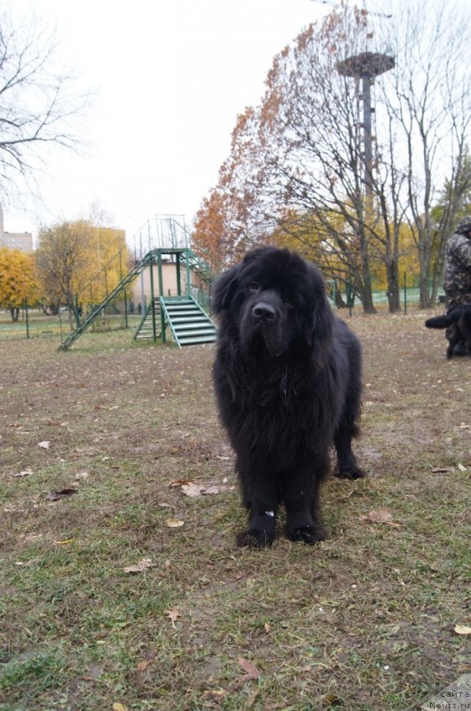 Фотография № 166538