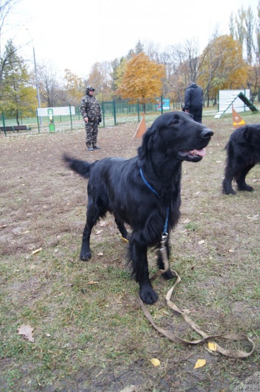 Фотография № 166539