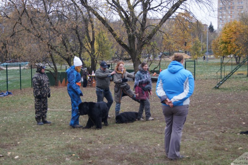 Фотография № 166541