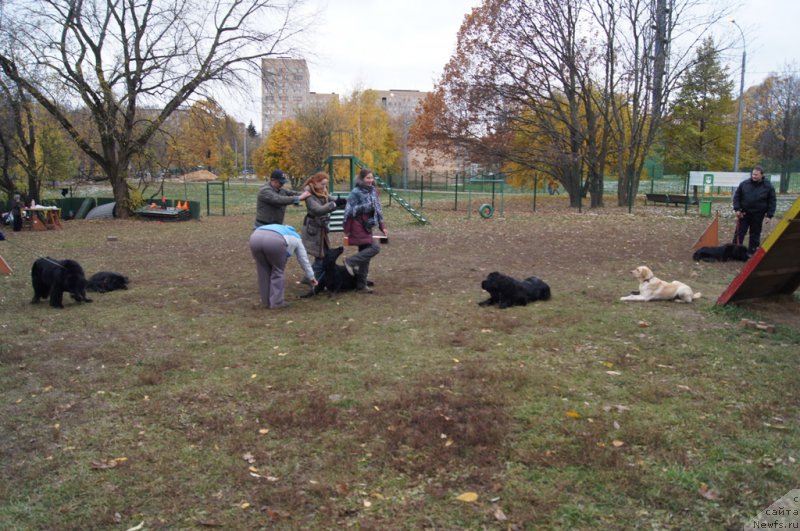 Фотография № 166542