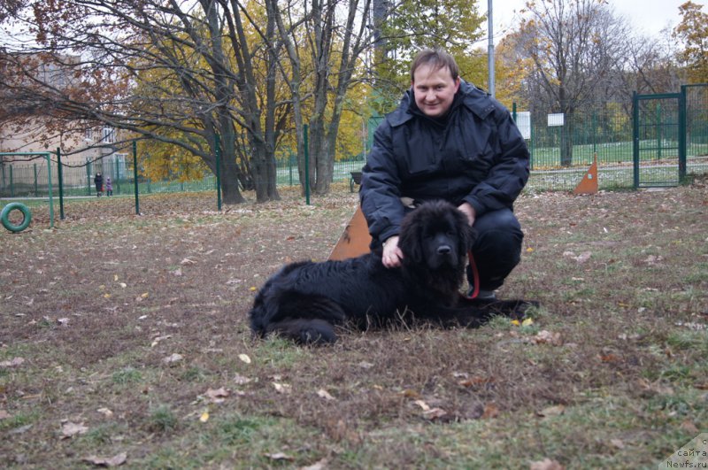 Фотография № 166545