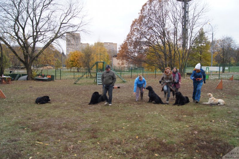 Фотография № 166547