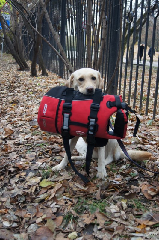 Фотография № 166550