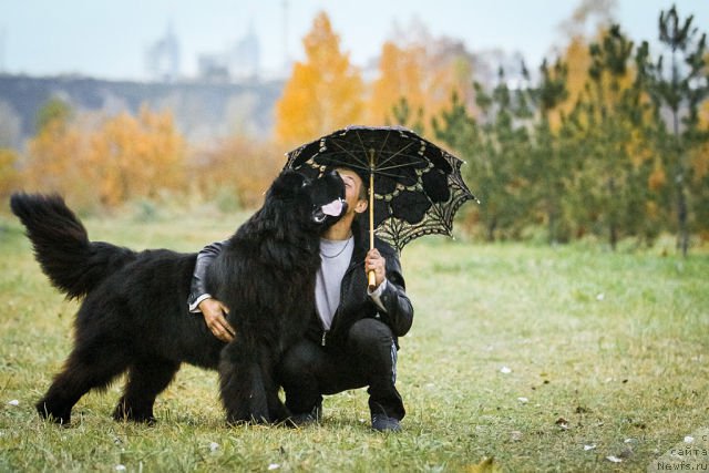 Фотография № 166663