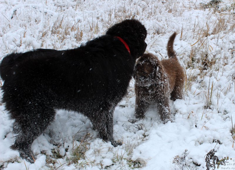 Фотография № 166673