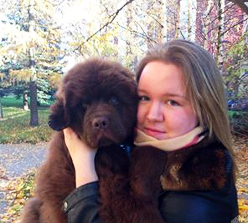 Фотография № 166677