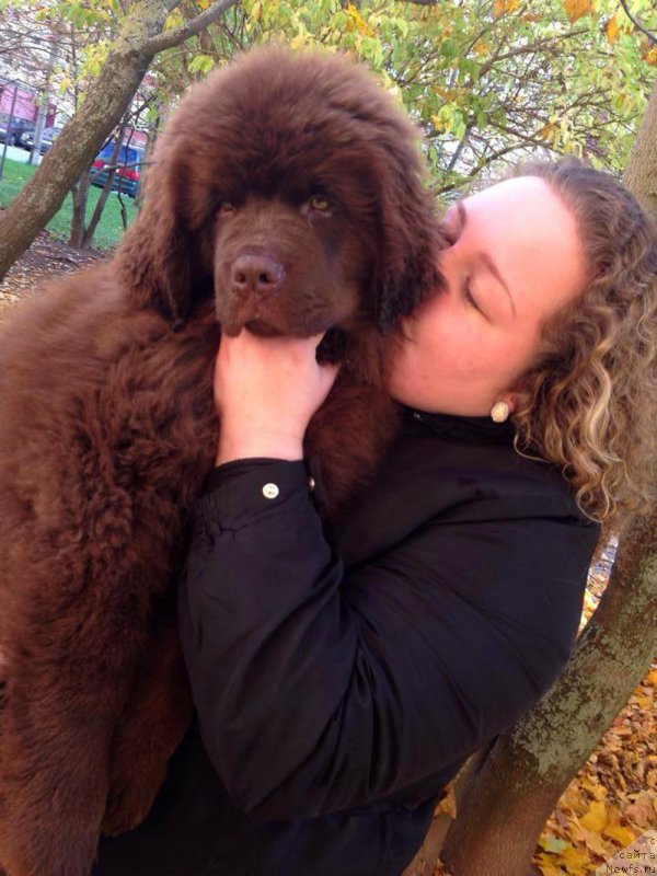 Фотография № 166678