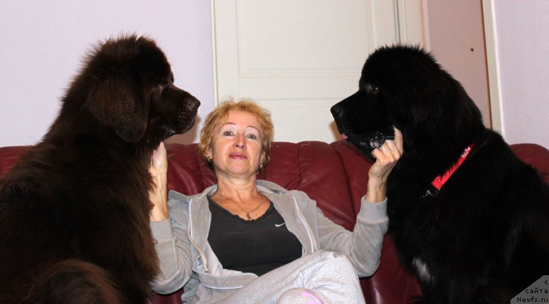 Фотография № 166679