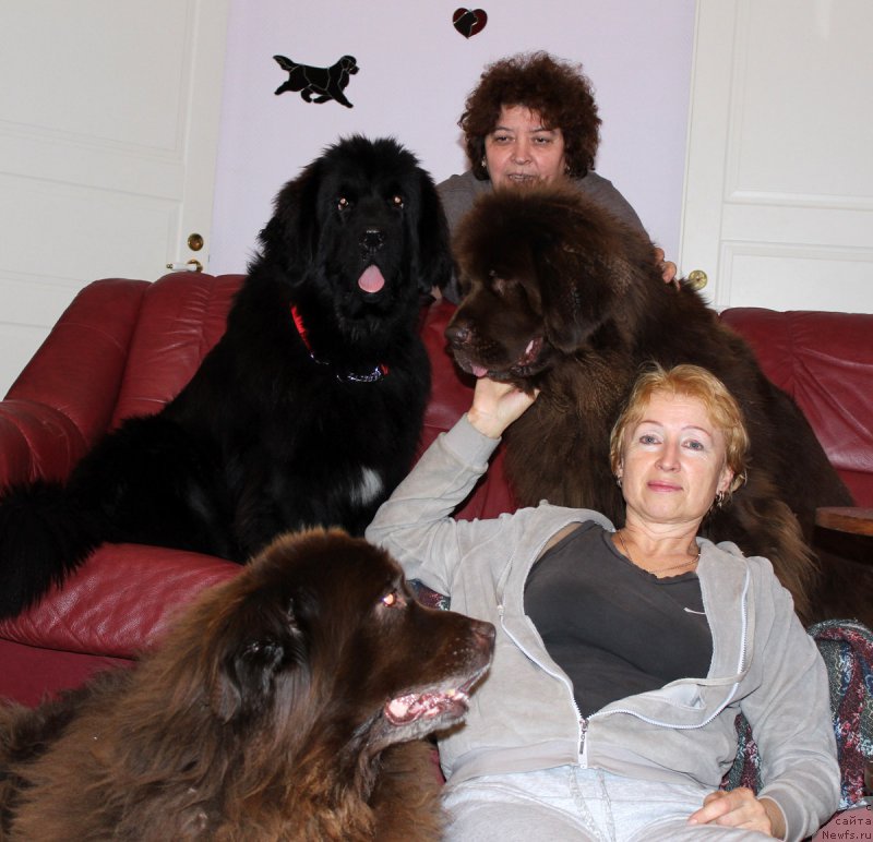 Фотография № 166681