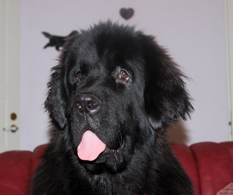 Фотография № 166682