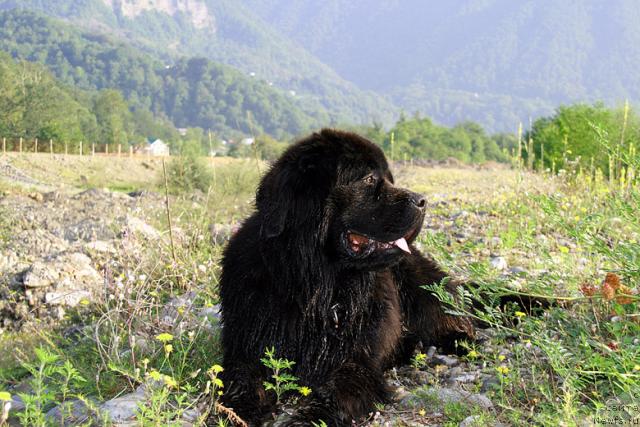 Фотография № 16670