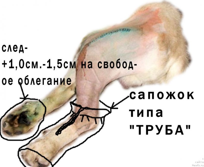 Фото: Lena Zyirina (Лена Зырина)