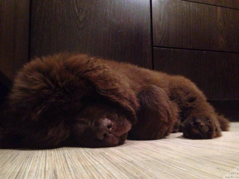 Фотография № 166779