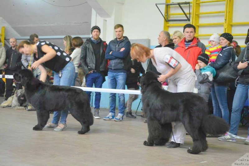 Фотография № 166795